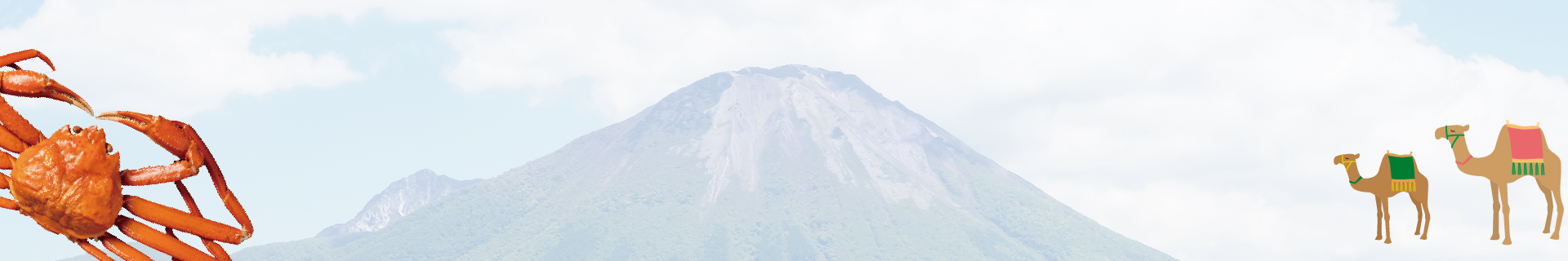 第35回中国四国眼科メディカルスタッフ講習会